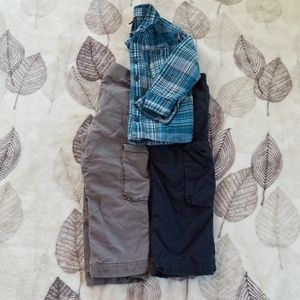 Tea Collection Bundle